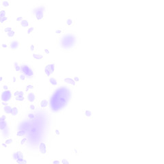 Violet flower petals falling down. Perfect romanti