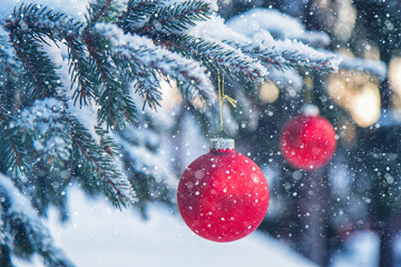 Close-up of red Christmas Baubles hanging on the trees outside in a heavy snowfall. This image was taken at Kaarina, Finland.