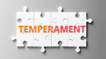Temperament complex like a puzzle - pictured as word Temperament on a puzzle pieces to show that Temperament can be difficult and needs cooperating pieces that fit together, 3d illustration - obrazy, fototapety, plakaty