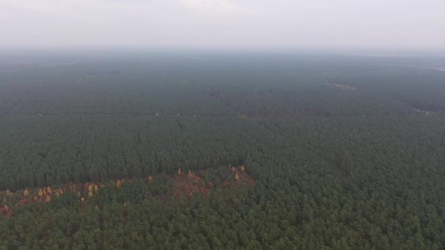 Luftaufnahme vom Standort der zuk&uuml;nftigen Tesla GigaFactory 4 in Gr&uuml;nheide, Brandenburg