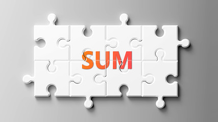 Sum complex like a puzzle - pictured as word Sum on a puzzle pieces to show that Sum can be difficult and needs cooperating pieces that fit together, 3d illustration