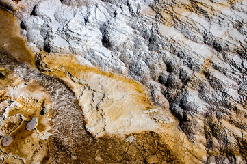 Geyser in Yellowstone National Park. USA. Wyoming