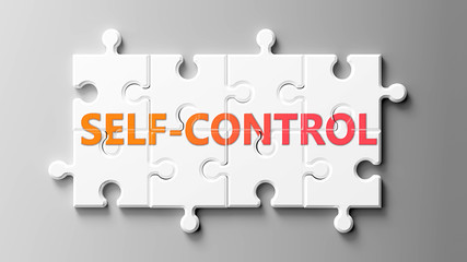 Self control complex like a puzzle - pictured as word Self control on a puzzle pieces to show that Self control can be difficult and needs cooperating pieces that fit together, 3d illustration