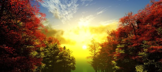 Obraz na płótnie Canvas Beautiful sunset in autumn, autumn trees at sunset,
