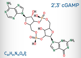 C-GMP-AMP, 2',3' cGAMP, cyclic guanosine monophosphate-adenosine monophosphate molecule. Structural chemical formula