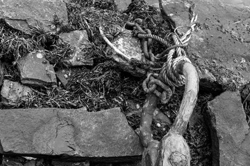 Norwegen Alesund im Herbst