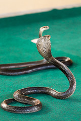 Royal cobra close-up with hood