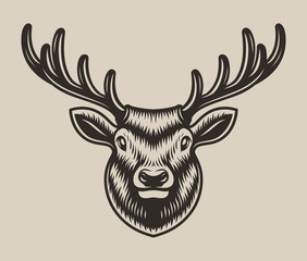 Deer head illustration isolated