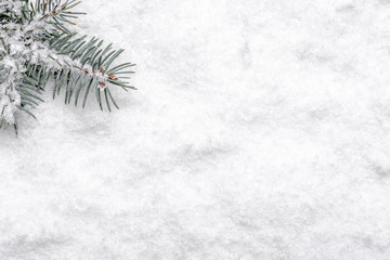 Christmas white background with snow and christmas fir tree branch, flat lay, top view