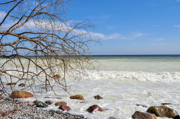Kreidefelsen, Stubbenkammer bei Sassnitz, Rügen