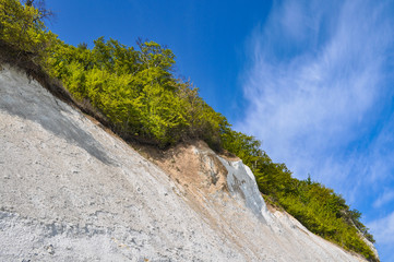 Kreidefelsen, Stubbenkammer bei Sassnitz, Rügen