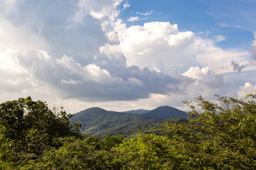Green hills of thailand, phuket view from the mountain