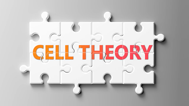 Cell theory complex like a puzzle - pictured as word Cell theory on a puzzle pieces to show that Cell theory can be difficult and needs cooperating pieces that fit together, 3d illustration