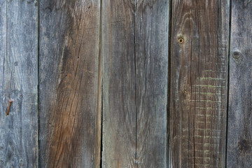 Grunge Wood panels for background