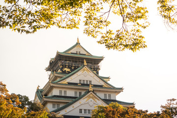 Osaka Castle in Osaka with autumn leaves. Japan Travel Concept