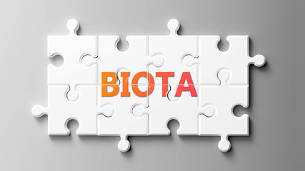Biota complex like a puzzle - pictured as word Biota on a puzzle pieces to show that Biota can be difficult and needs cooperating pieces that fit together, 3d illustration