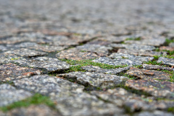 View to stones pathway.
