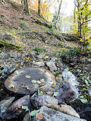Fototapeta na wymiar Petit passage mignon en rondin de bois et cailloux au-dessus d'une petite rivière dans les bois en automne