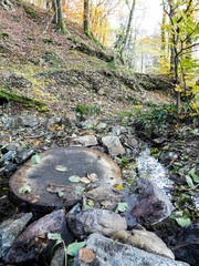 Petit passage mignon en rondin de bois et cailloux au-dessus d'une petite rivière dans les bois en automne