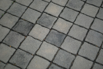Cement block floor for background.