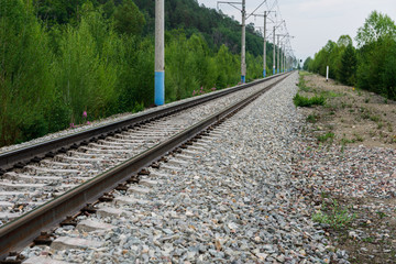 Fototapeta na wymiar Railway rails in the summer forest