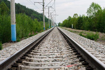 Railway rails in the summer forest