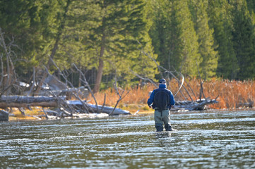 River fly fisherman in Montana