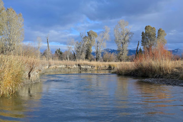 Ruby river in autumn in Montana