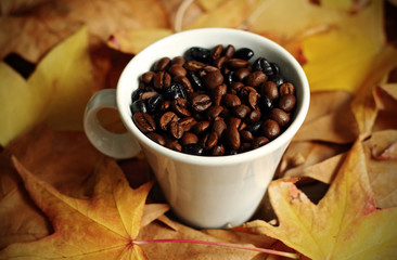 Coffee beans in cup on autumn leaves