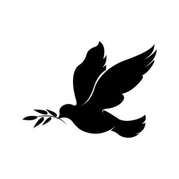Pigeon, bird icon 