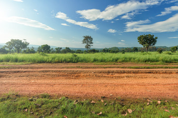 Dirt roadside view with the meadow