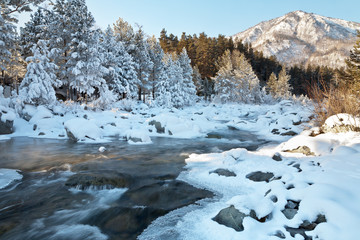 Fast non-freezing mountain river with snowy trees along the banks on a frosty sunny day. Beautiful winter mountain landscape. Siberia, Buryatia, Eastern Sayans, Tunka Valley, Arshan Village