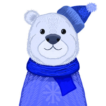 Illustration of white polar bear in blue sweater, hat and scarf. Christmas cute image.