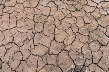 Soil crack texture for background