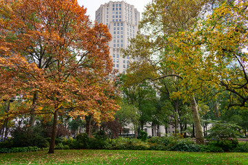 Colorful Trees during Autumn at Madison Square Park in New York City
