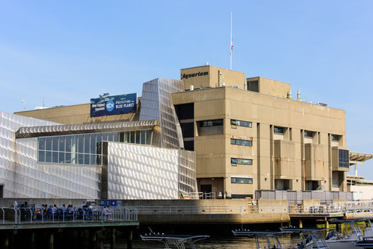 New England Aquarium