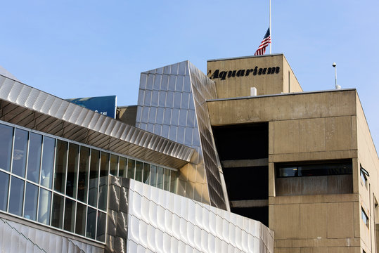 New England Aquarium