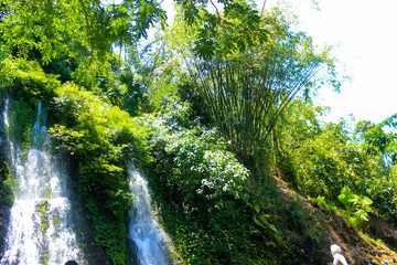 waterfall in a tropical forest