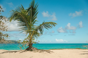 Fototapeta na wymiar Rincon Beach - Dominicana
