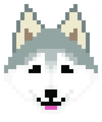 vector pixel art Siberian Husky dog isolated on white background, gray and white dog.