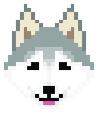 Obraz premium vector pixel art Siberian Husky dog isolated on white background, gray and white dog.