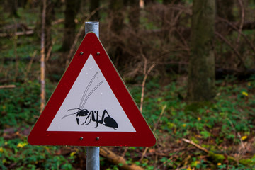 Warning sign, insects in the forest
