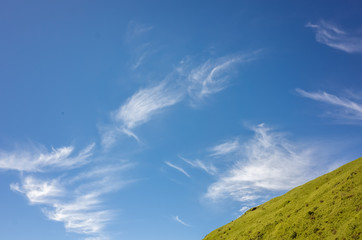 Obraz na płótnie Canvas green grassland under blue sky