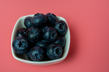 Freshly picked blueberries in white bowl. Juicy and fresh. Bilberry on pink pastel colorful background. Blueberry antioxidant for healthy eating and nutrition.