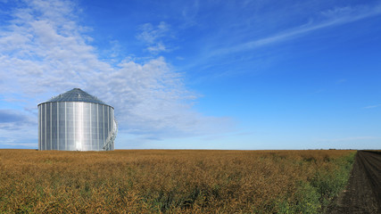 Large grain bin Saskatchewan prairies, Canada