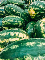 Fresh watermelons selling in a supermarket
