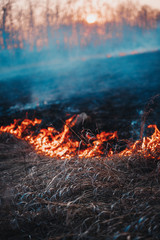 Forest and steppe fire. Dry grass burning and smoke. Uncontrolled fire