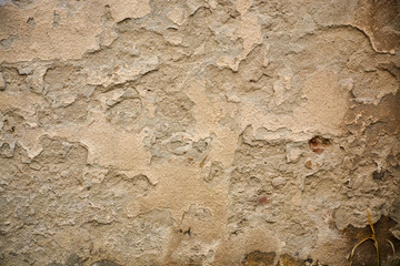 Beautiful vintage background. Abstract grunge decorative stucco wall texture.