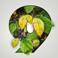 Nature concept. Creative number with autumn leaves on a gray background. Creative typography, Chapter in the presentation, template. 9 number nine.