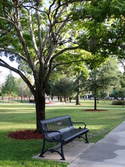 empty metal park bench under shady tree